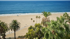 A beach with palm trees and a clear view of the ocean.