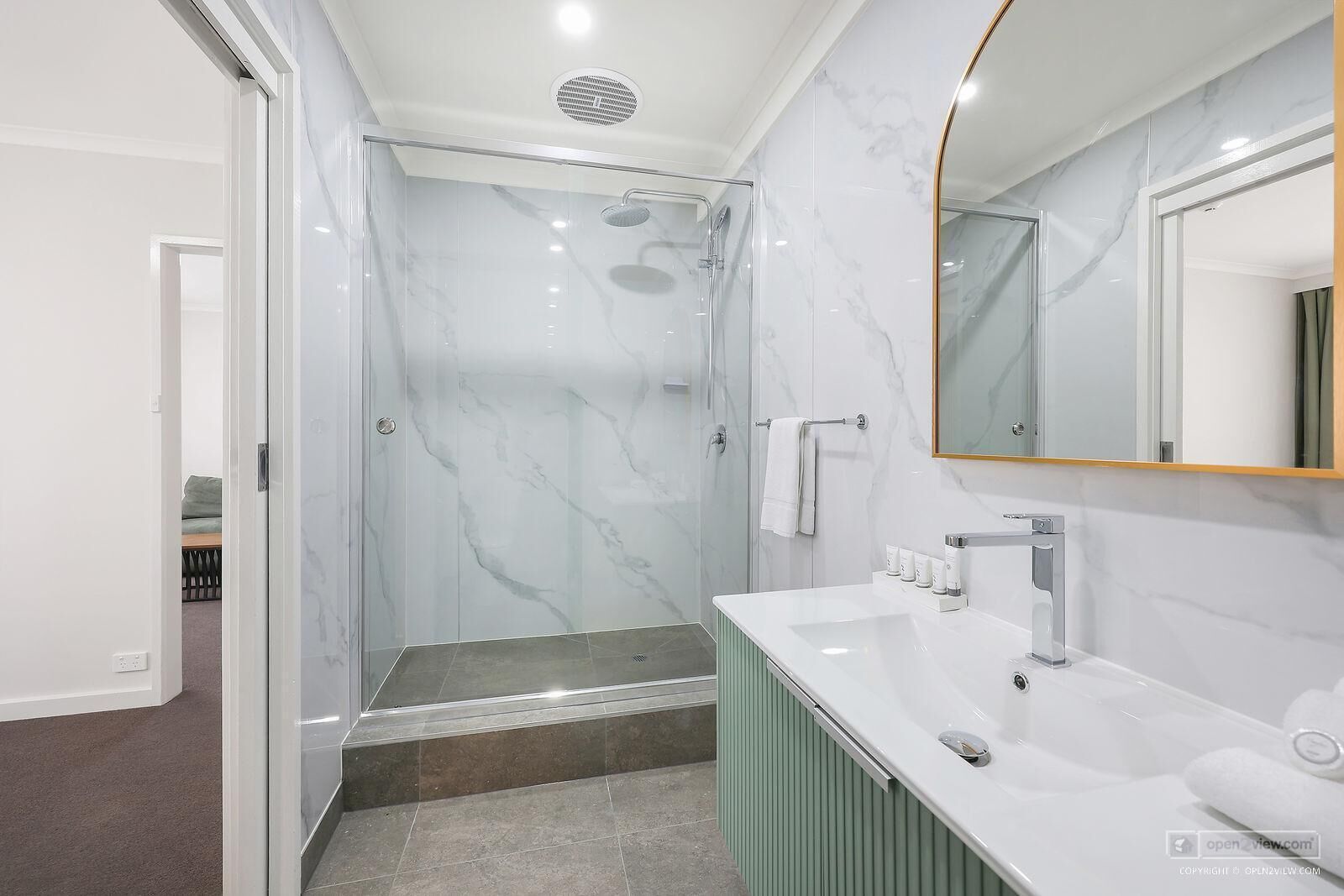 Un baño moderno con ducha de mampara de vidrio, un lavabo blanco con gabinete verde y un espejo grande con marco dorado.