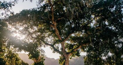 Carmel Valley Ranch, in The Unbound Collection by Hyatt