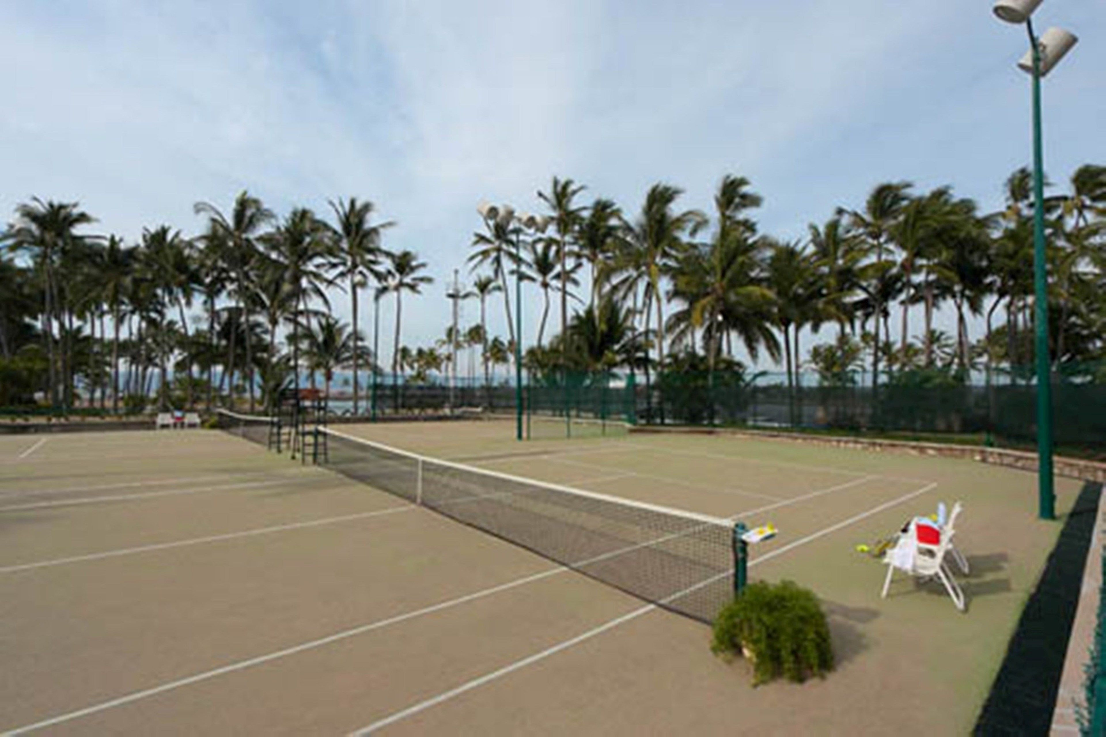 Una cancha de tenis al aire libre con una red, rodeada de palmeras y una valla.