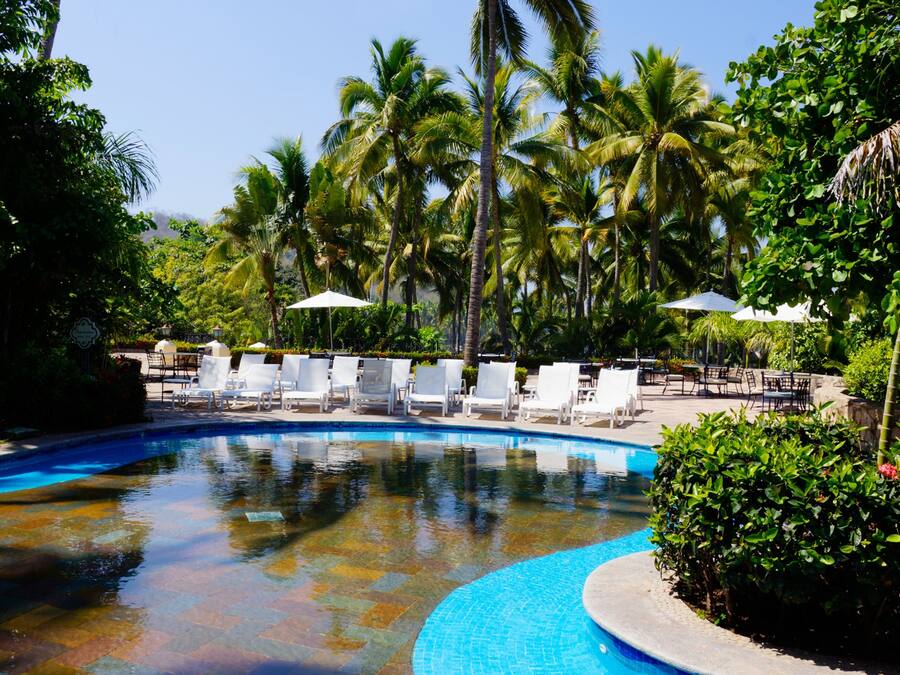 Outdoor pool, sun loungers