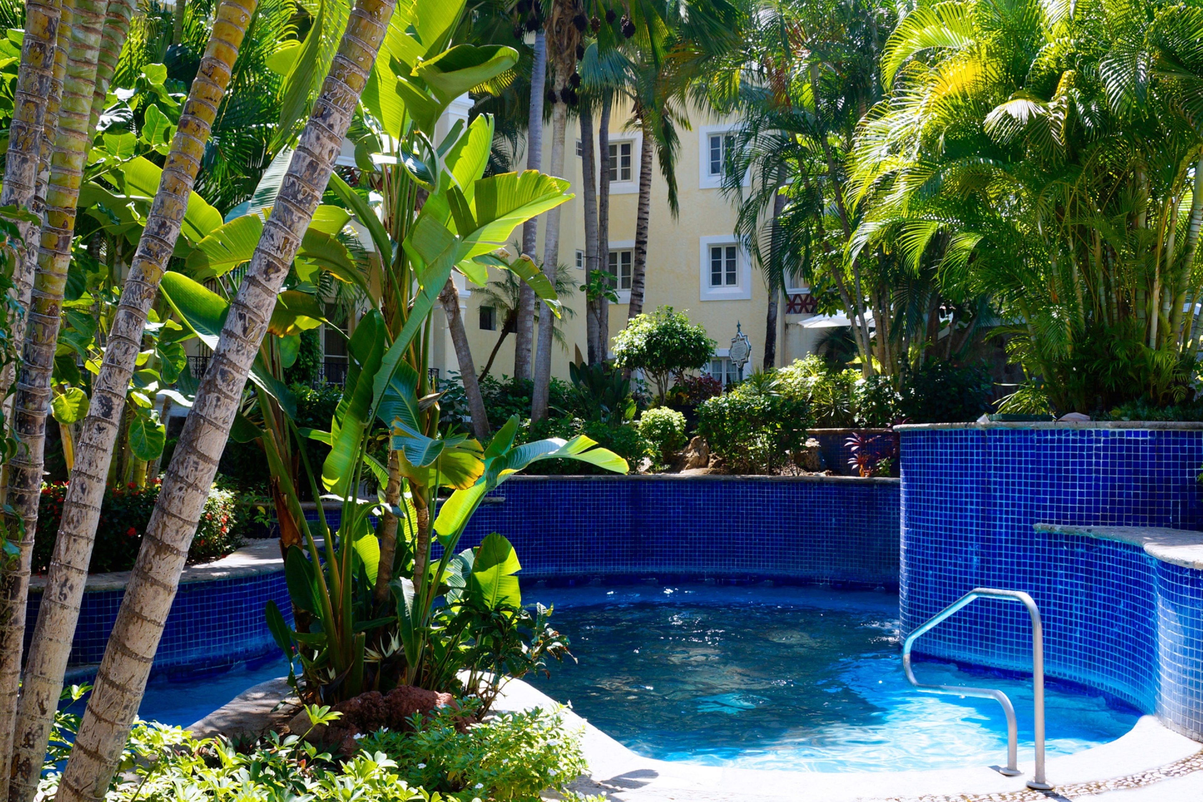 A pool surrounded by lush tropical plants and a blue tiled wall.