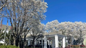 A hotel entrance with a covered patio area, a clear sky, and blooming trees.