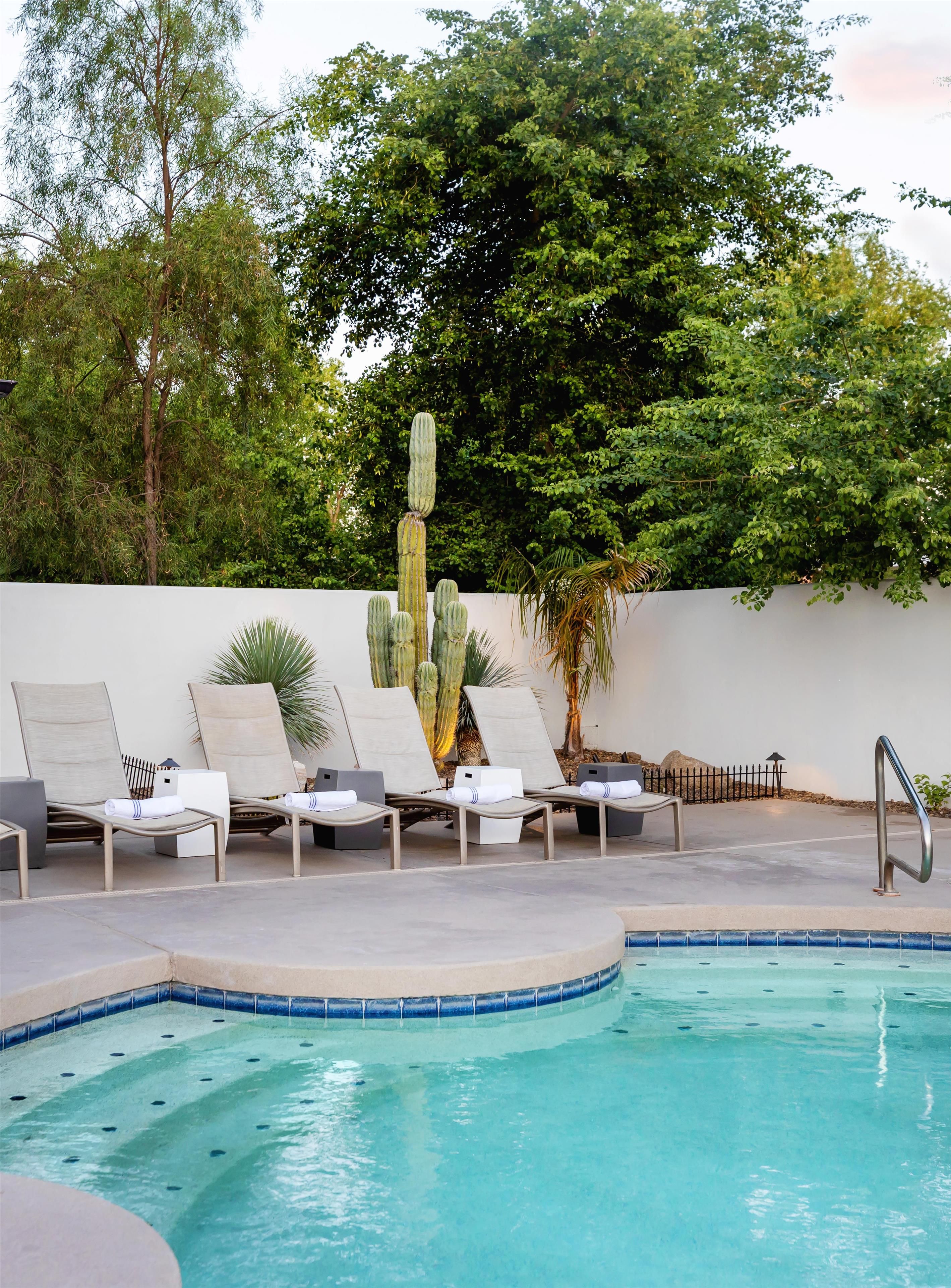 A pool area with lounge chairs, a cactus, and a white wall.