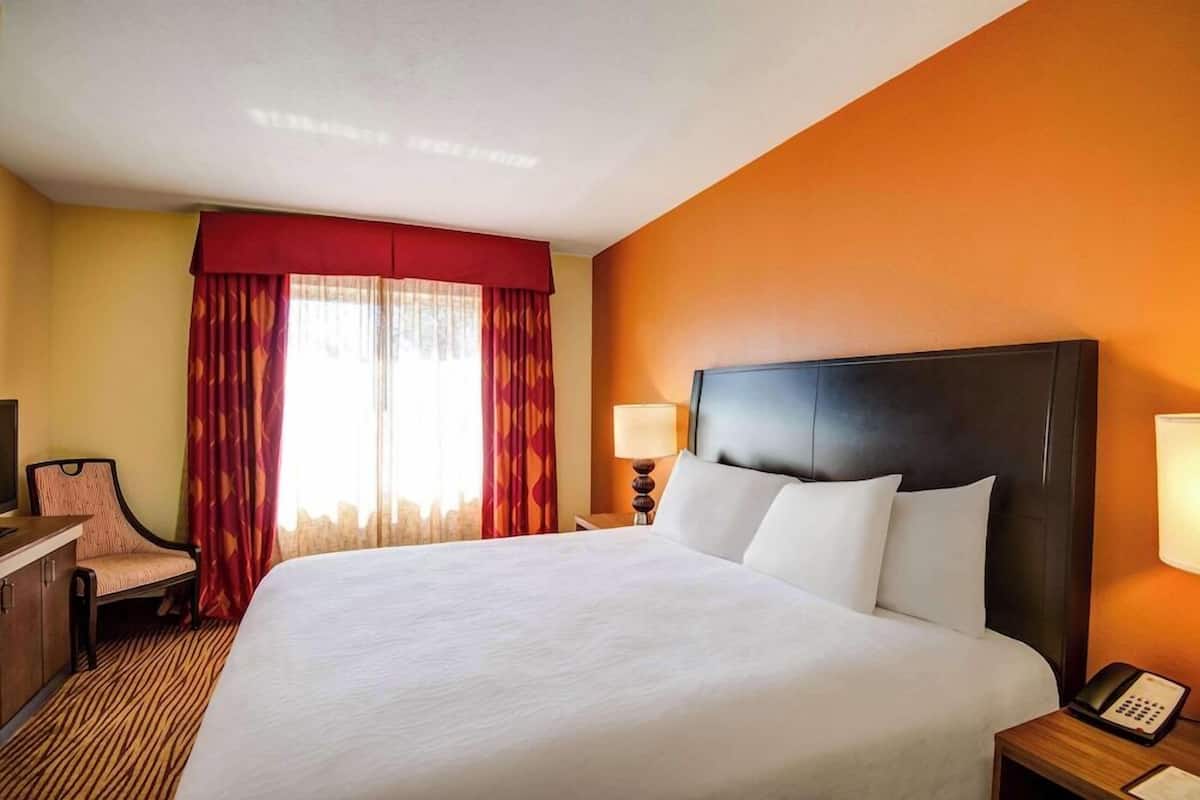 Cortinas blackout, insonorización y tabla de planchar con plancha