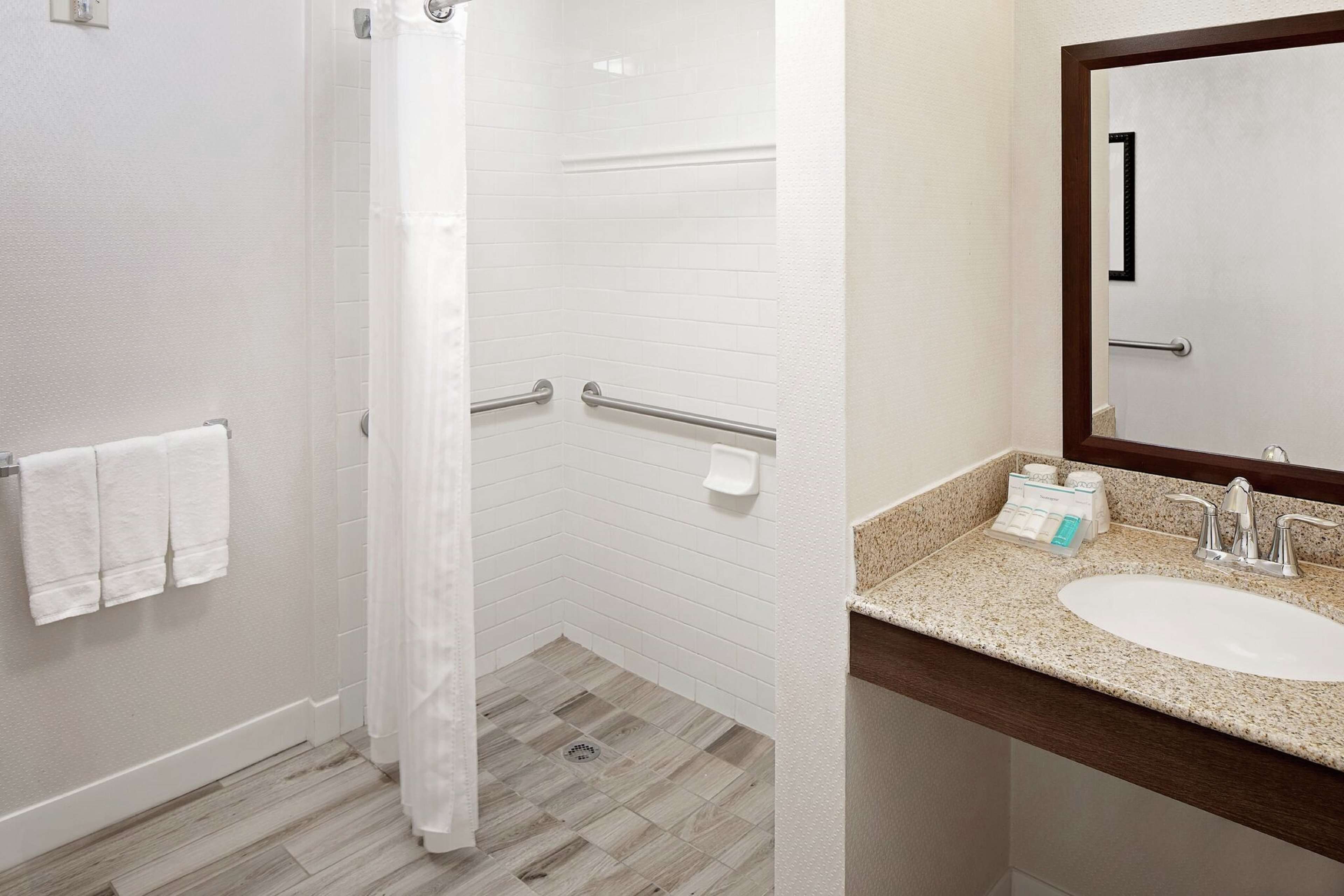 room, 1 king bed, accessible | bathroom shower