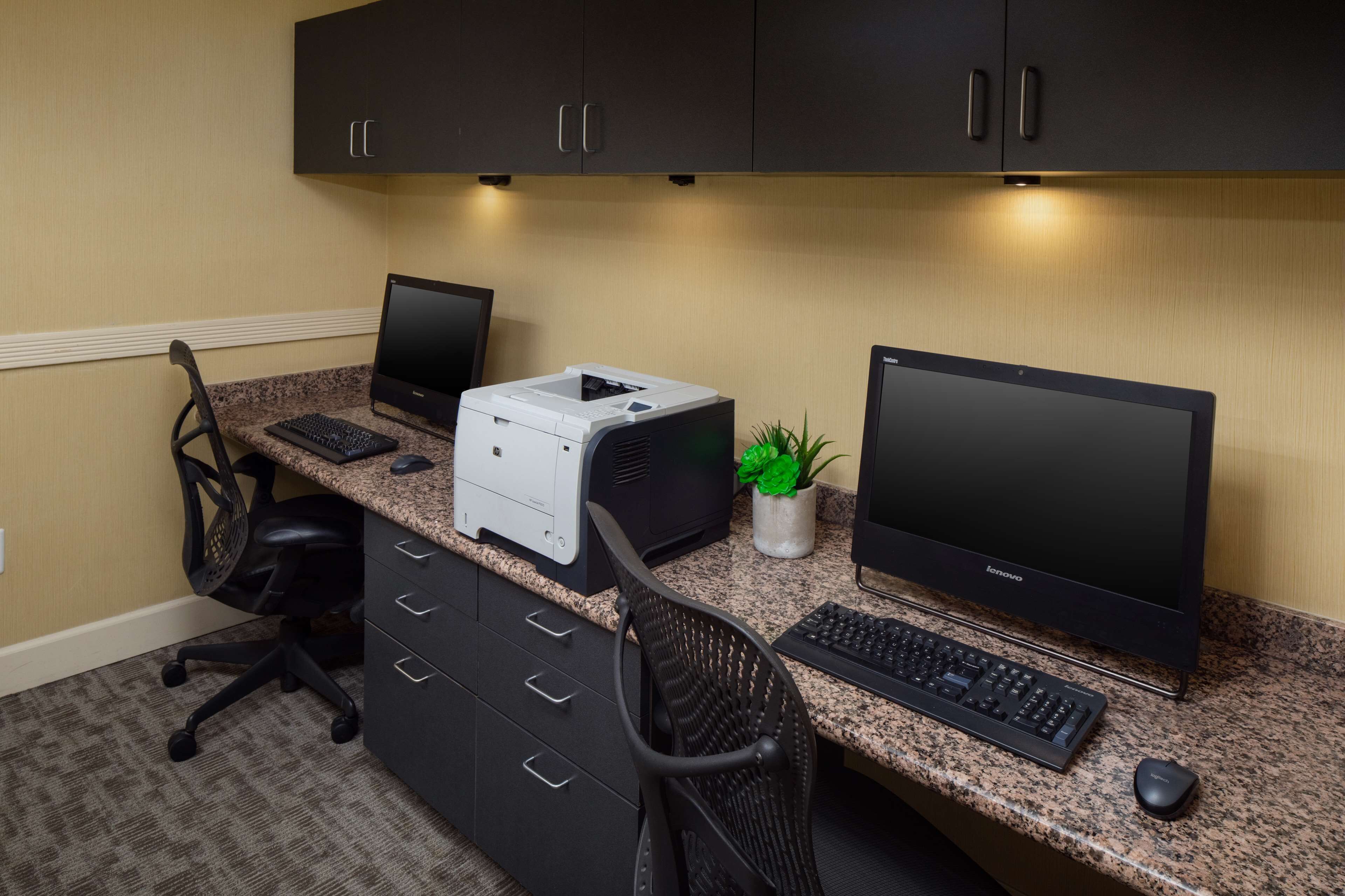 A workspace with two desktop computers, a printer, and a potted plant.