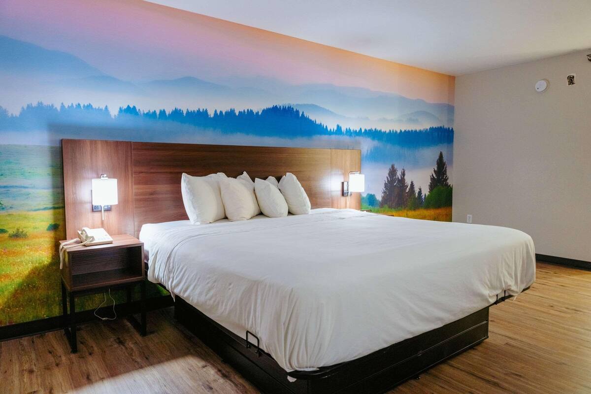 A hotel room with a large bed, two bedside lamps, a nightstand, and a mural of a forest and mountains on the wall.
