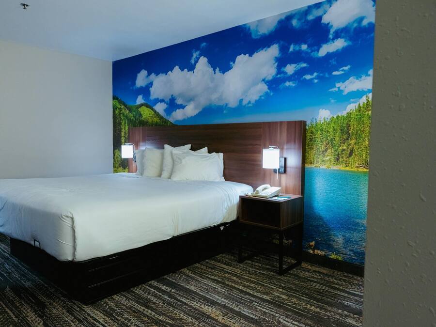 Desk, blackout curtains, iron/ironing board, free WiFi