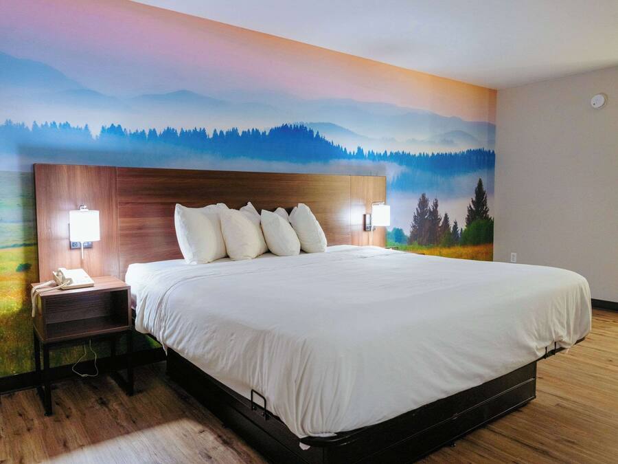 Habitación de hotel con una cama grande, dos lámparas de noche, una mesita de noche de madera y un mural con un bosque y montañas en la pared.