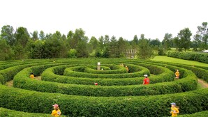 A maze garden with neatly trimmed hedges and a few people walking through it. - Holiday Inn Hotel & Suites Ottawa Kanata by IHG (Ottawa)