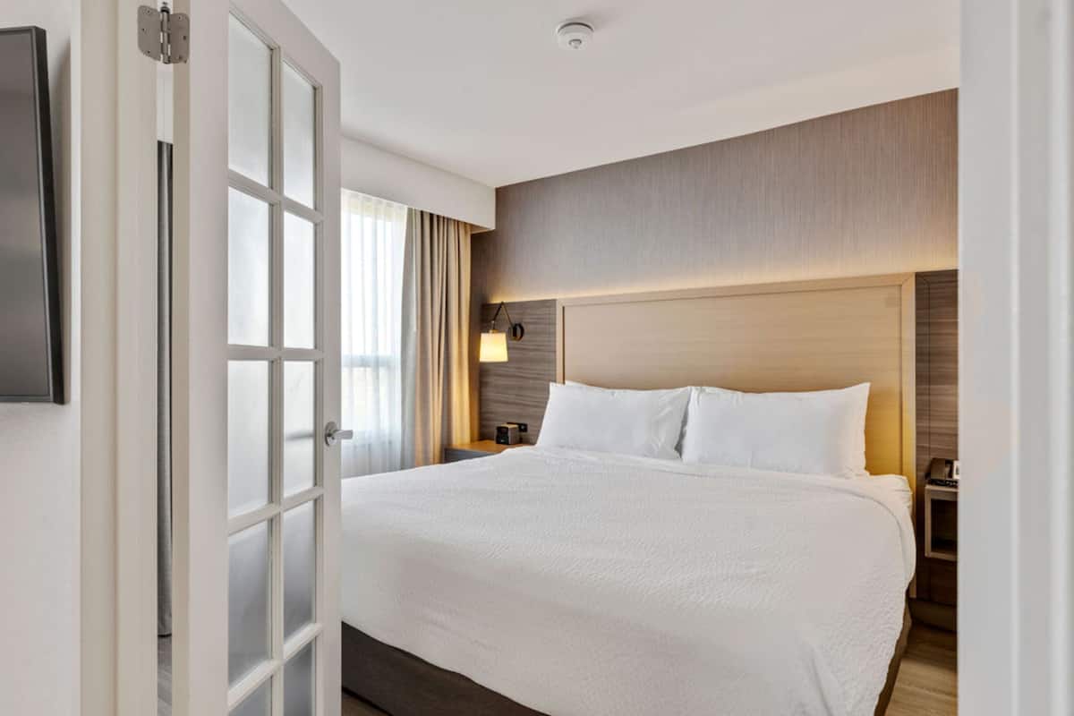 Suite, 1 King Bed with Sofa bed