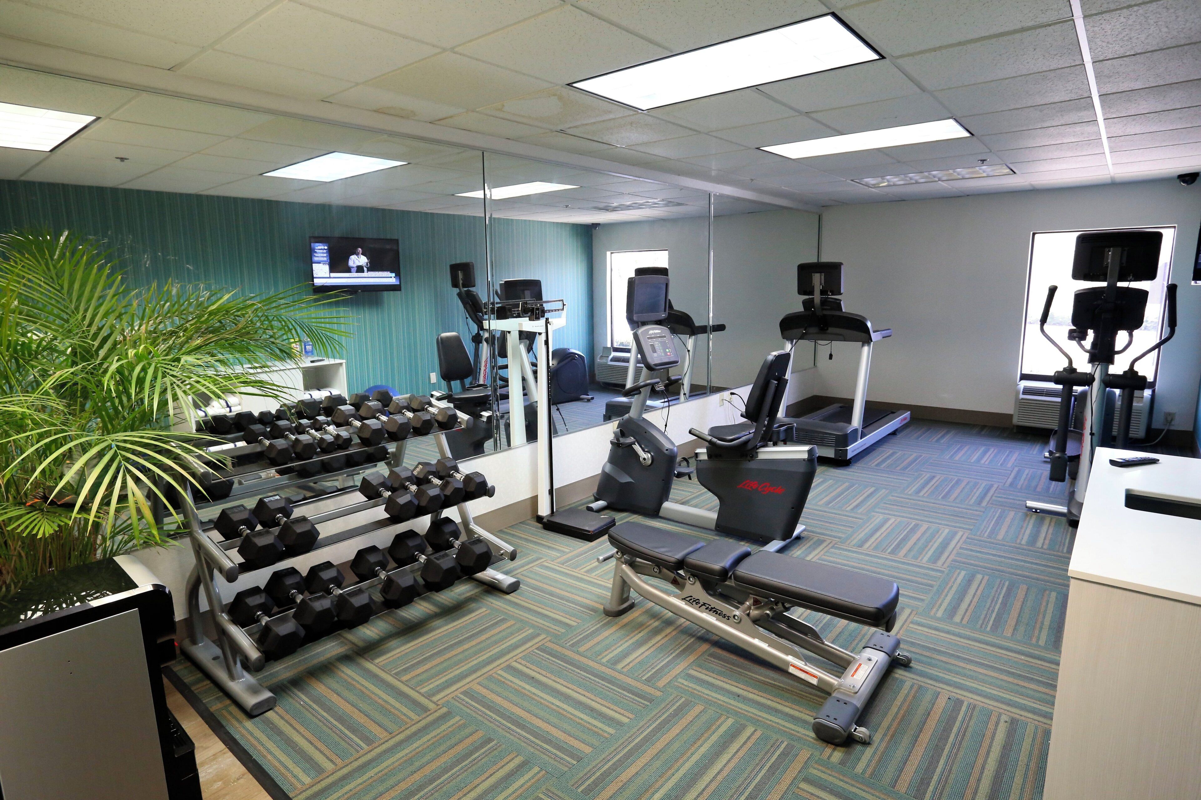 Une salle de sport équipée de matériel d’exercice, d’un téléviseur et d’une plante en pot.