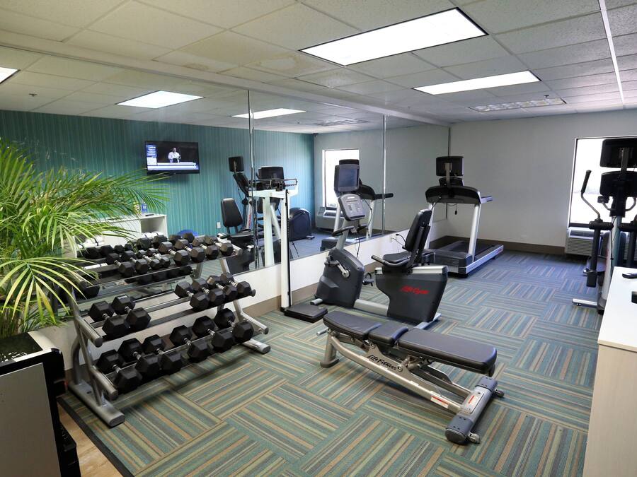 A gym with exercise equipment, a television, and a potted plant.