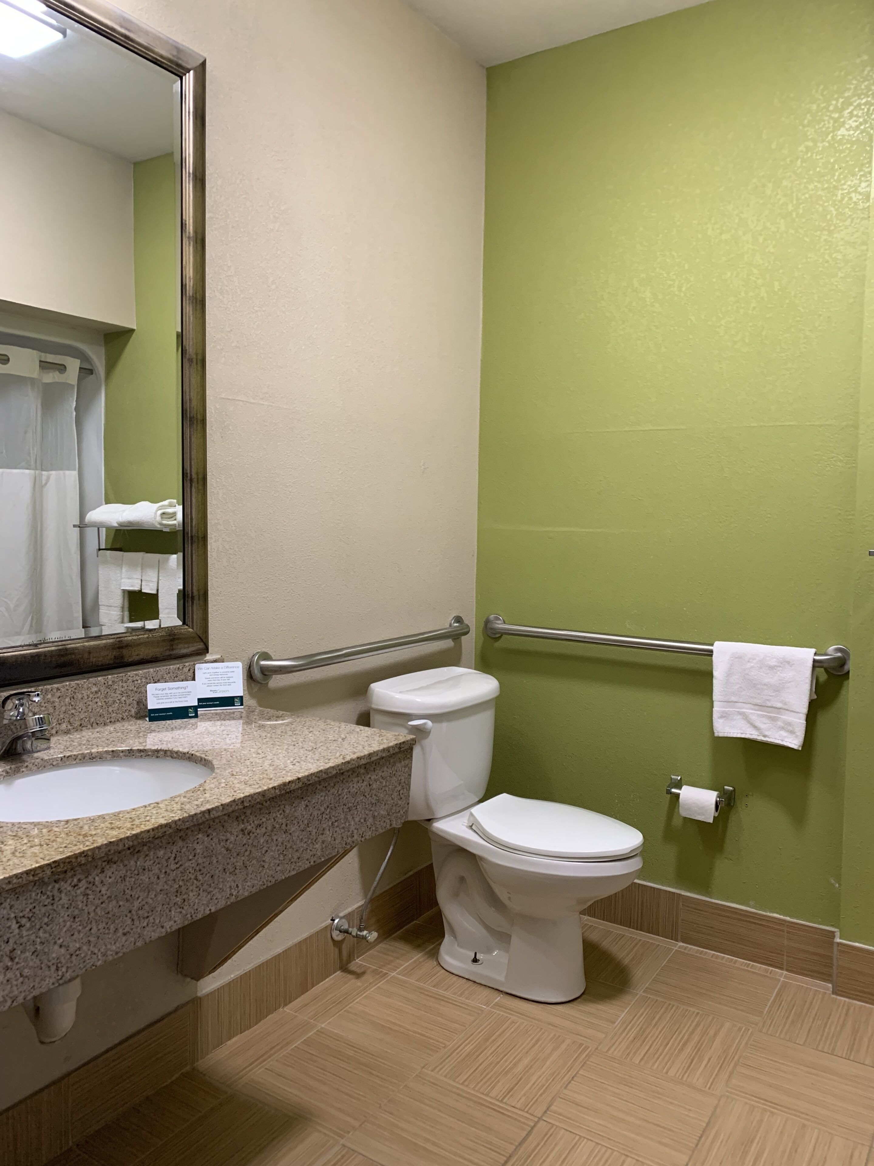 room, 1 king bed, accessible, roll in shower, non smoking | bathroom | combined shower/bathtub, free toiletries, hair dryer, towels