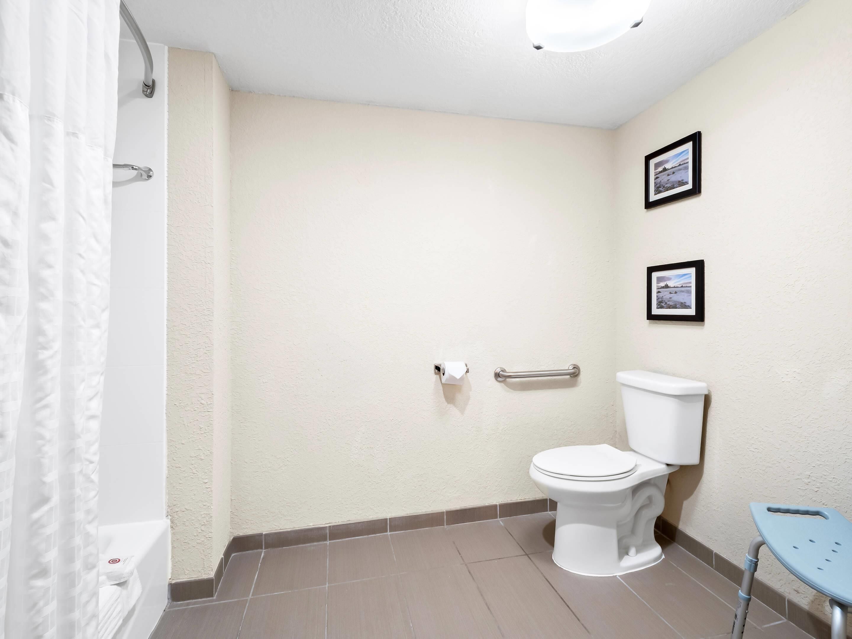 A bathroom with a toilet, a handrail, a picture on the wall, and a shower curtain.