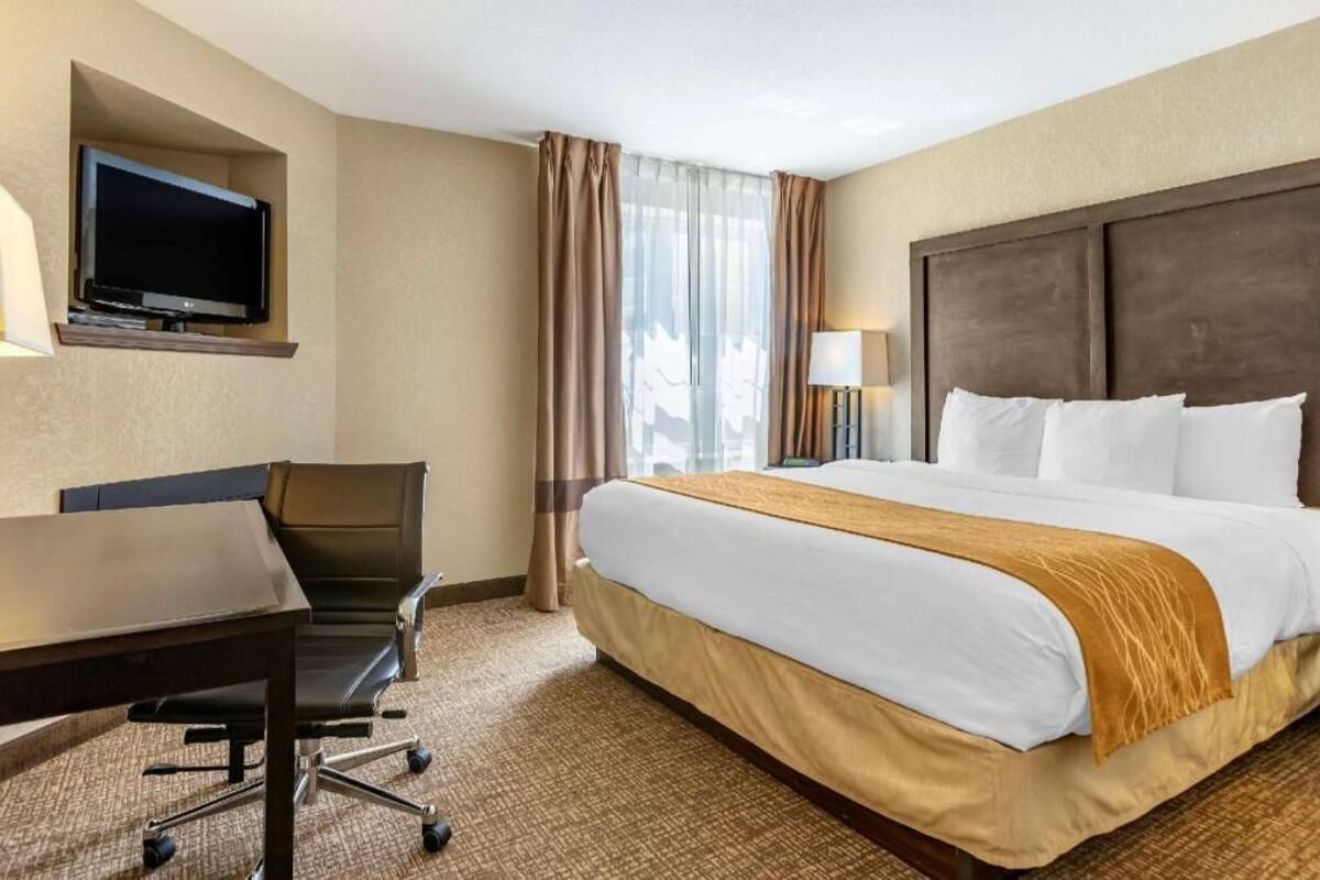 A hotel room with a bed, a desk, a chair, a television, and a window with curtains.