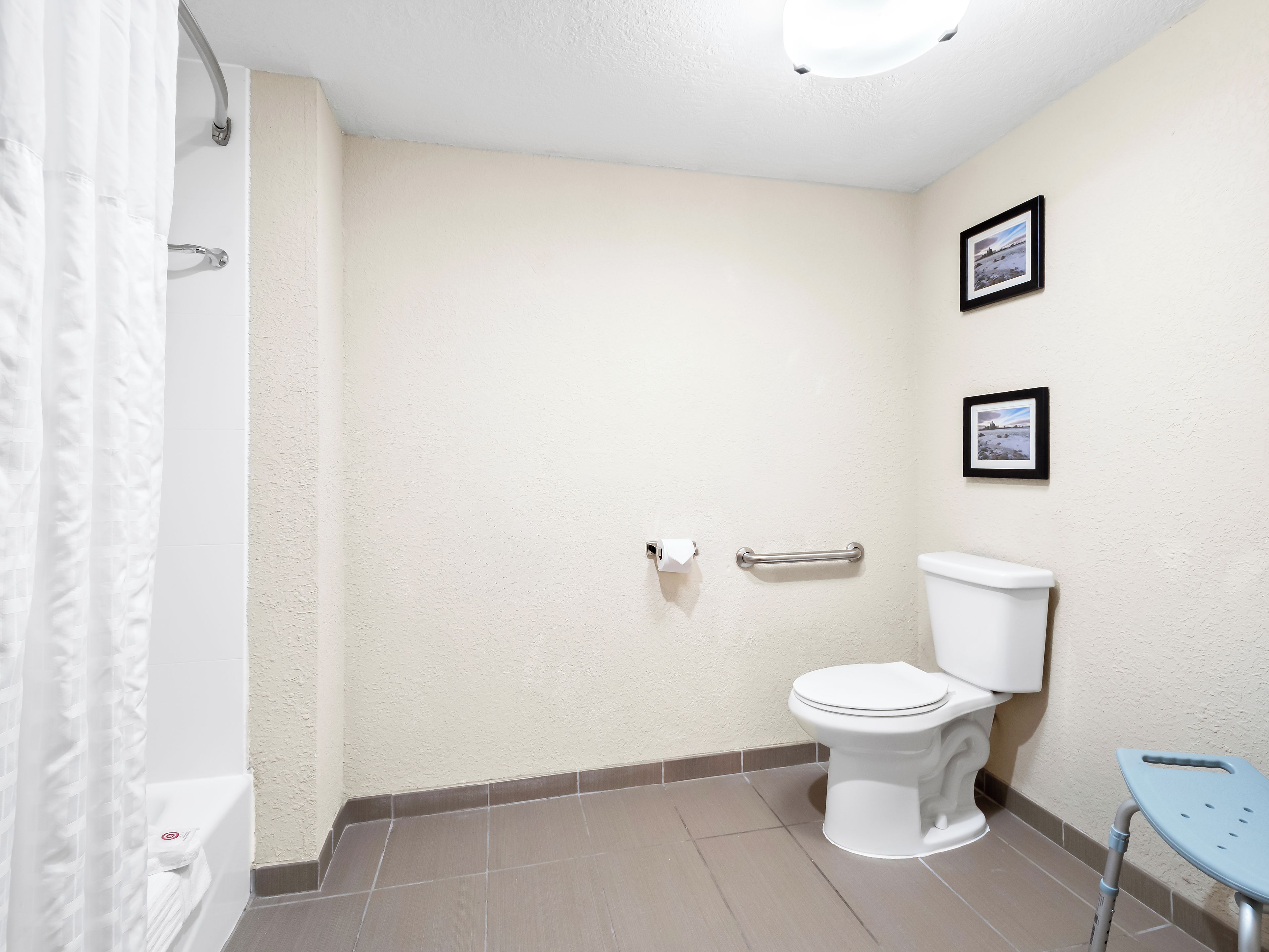 A bathroom with a toilet, a handrail, a picture on the wall, and a shower curtain.