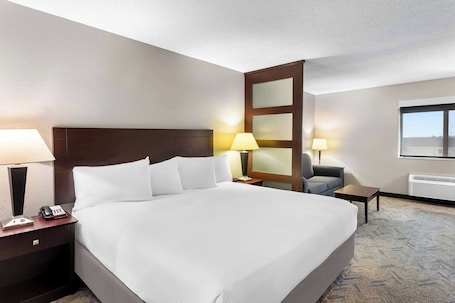 Suite, 1 King Bed, Non Smoking, Refrigerator & Microwave (with Sofabed) | Desk, laptop workspace, iron/ironing board, free WiFi. Best Western Oswego Hotel