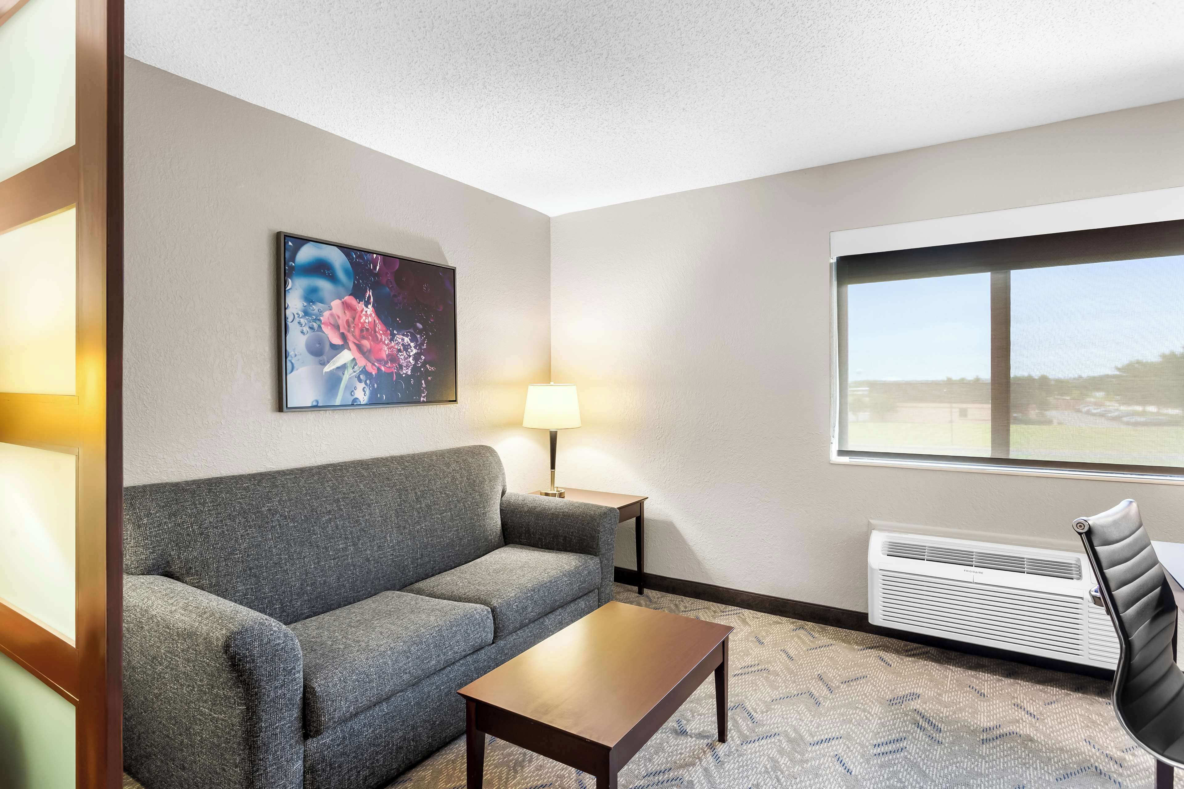 suite, 1 king bed, non smoking, refrigerator & microwave (with sofabed) | 1 bedroom, desk, laptop workspace, iron/ironing board