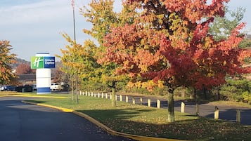 A Holiday Inn Express sign, a parking lot, and autumn-colored trees.