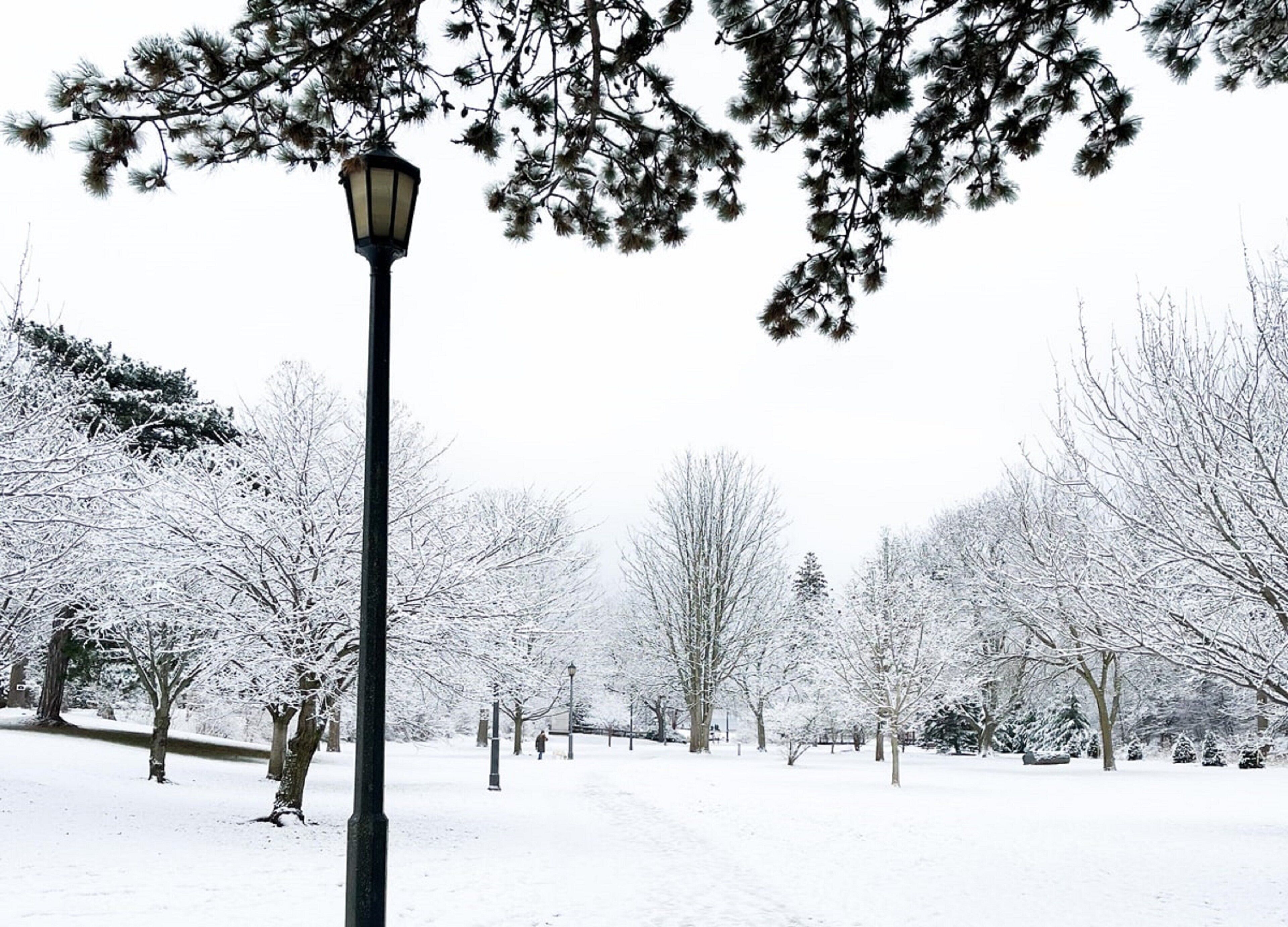 Foto - Holiday Inn & Suites Oakville at Bronte by IHG