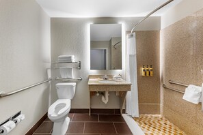 A bathroom with a toilet, sink, mirror, shower, and handrails.