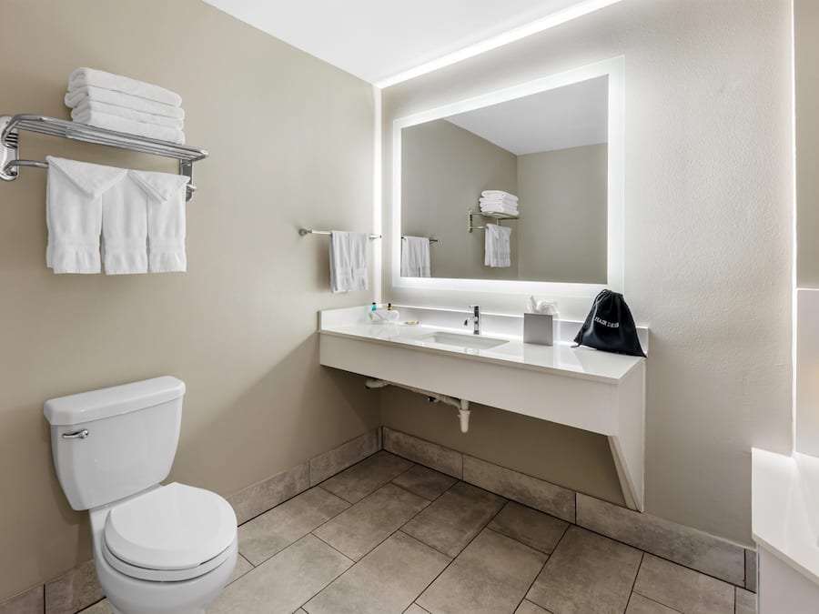Presidential Suite, 1 King Bed, Non Smoking, Jetted Tub | Bathroom | Eco-friendly toiletries, hair dryer, towels, soap