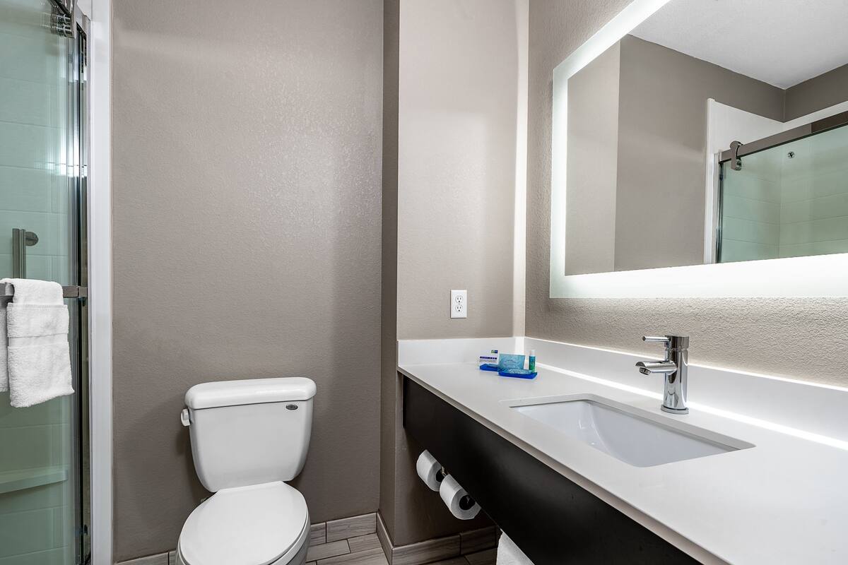 A modern bathroom with a white toilet, a glass shower enclosure, and a large mirror above a white sink.