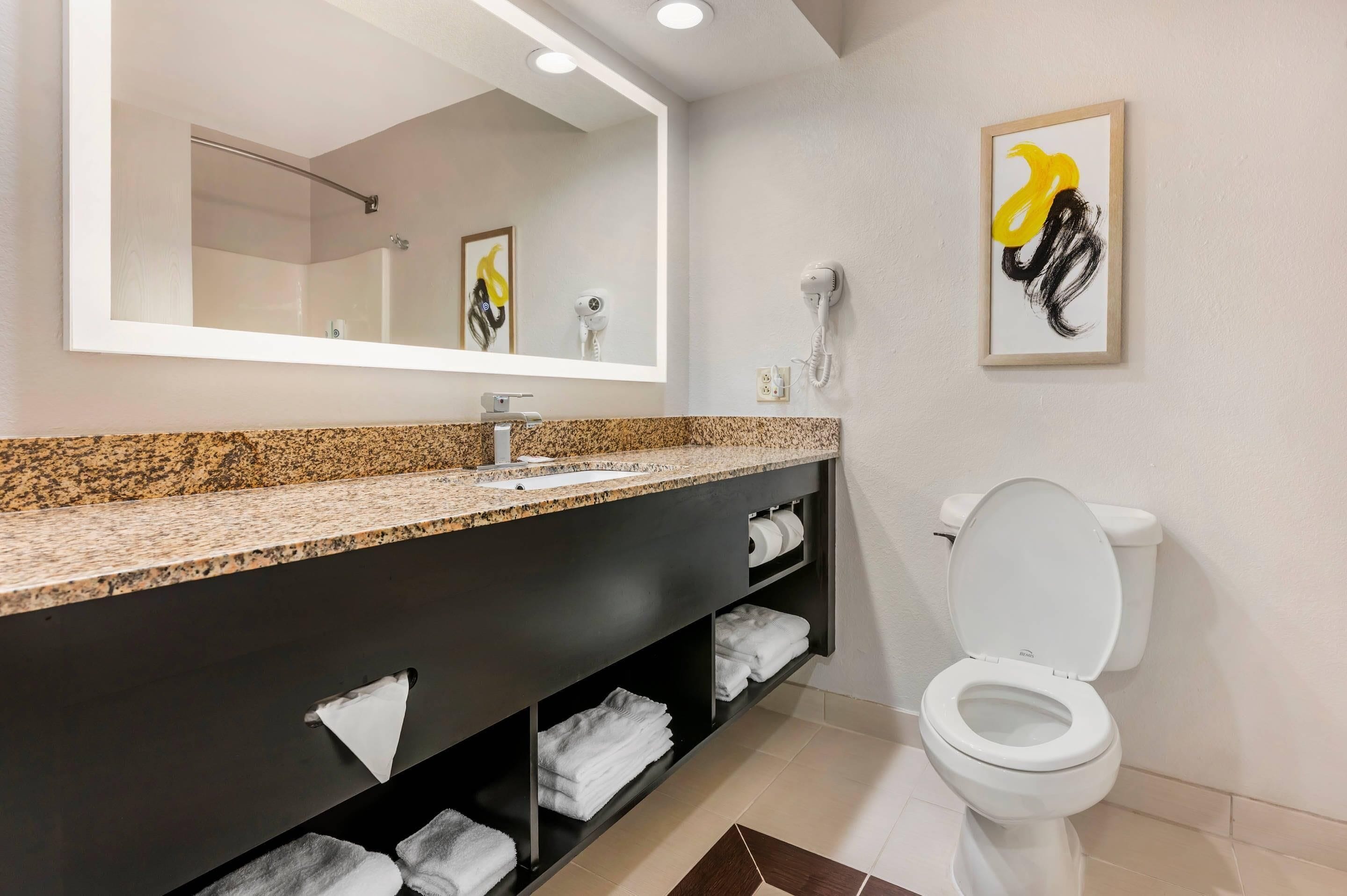 A bathroom with a granite countertop sink, a mirror, a toilet, and a framed artwork on the wall.
