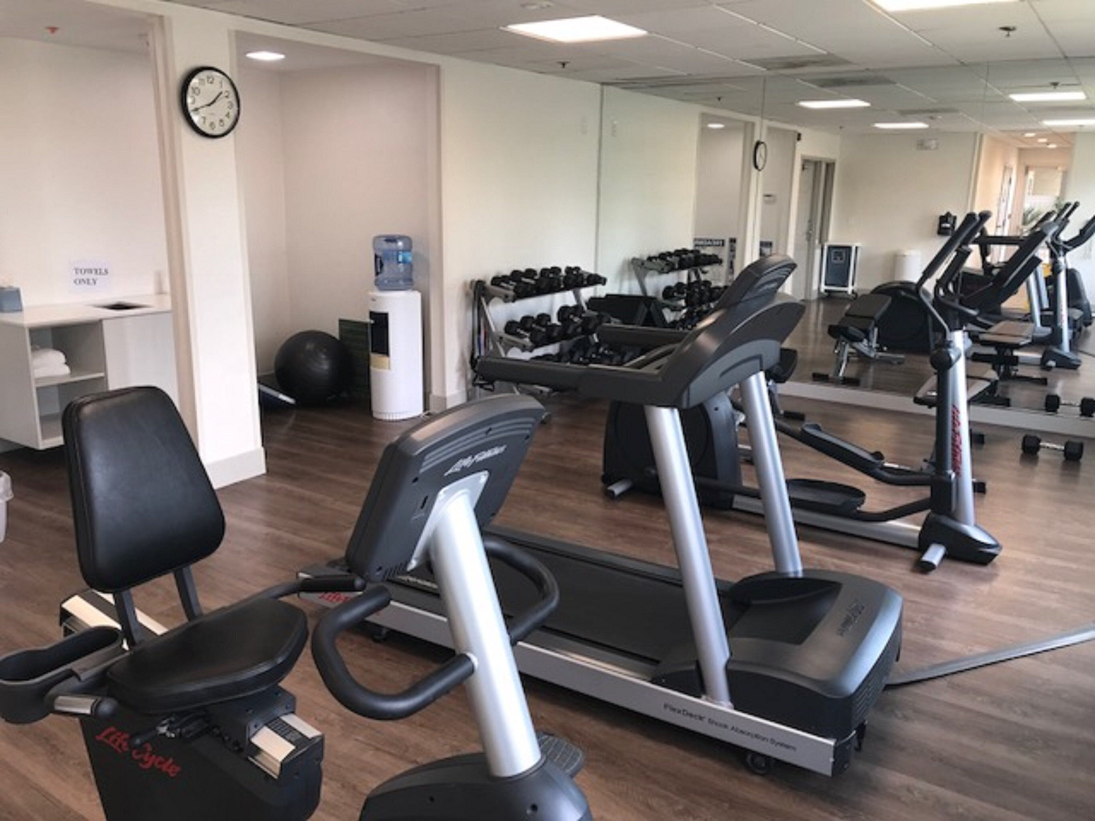 A gym with treadmills, a stationary bike, and free weights.