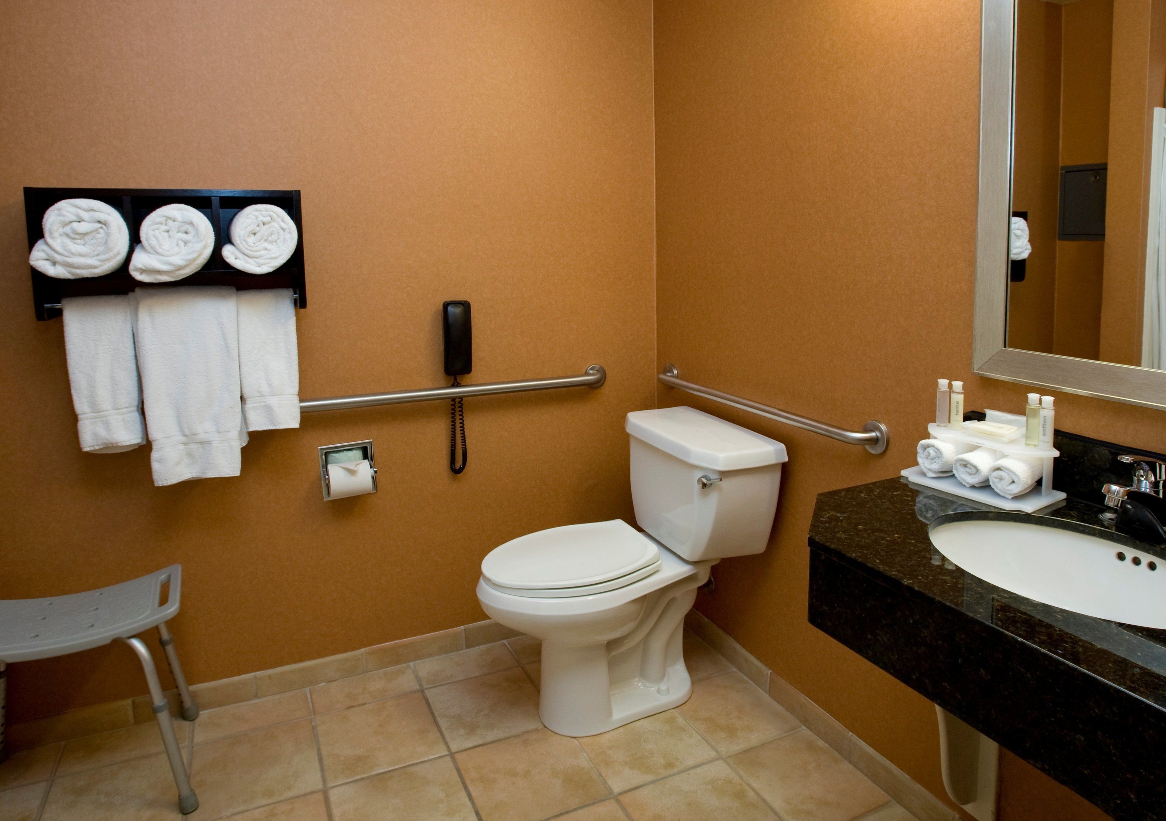 A bathroom with a toilet, handrails, a sink, and a mirror.