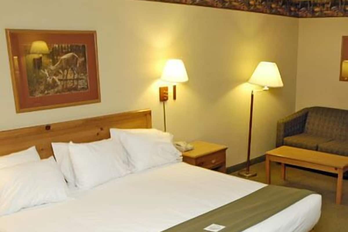 1 bedroom, desk, free WiFi, bed sheets