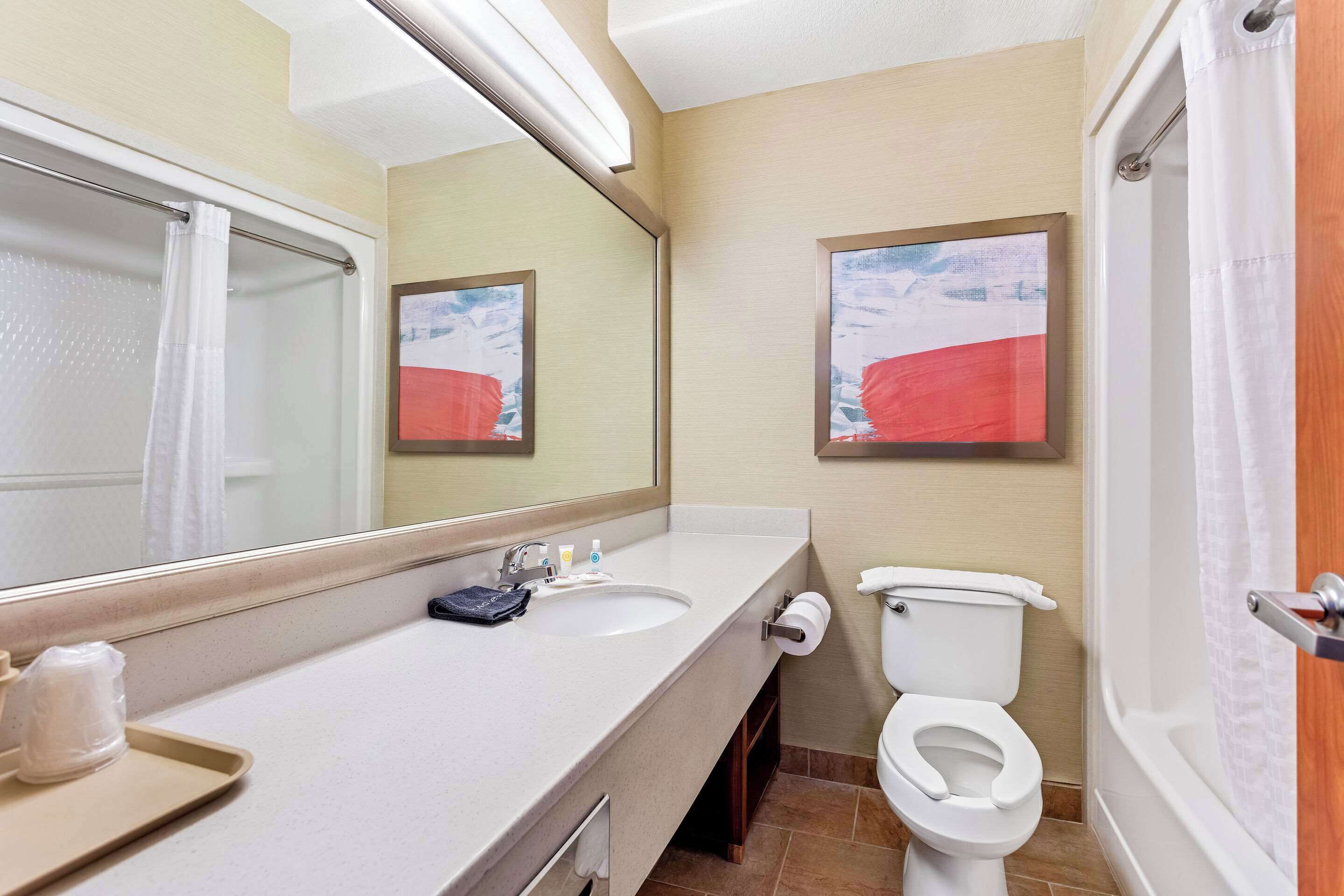 Een badkamer met een grote spiegel, een wastafel, een toilet en een douchegordijn.