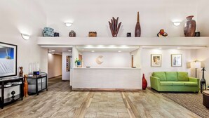 Un salon moderne avec un comptoir d’accueil, un canapé vert et divers objets décoratifs disposés sur des étagères.