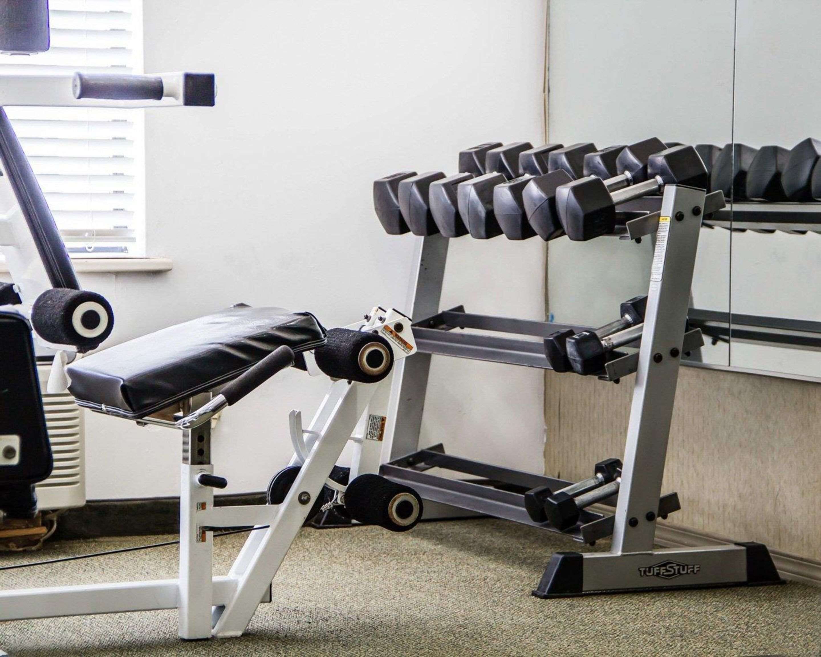 A gym with a bench press, dumbbells, and a weight rack.