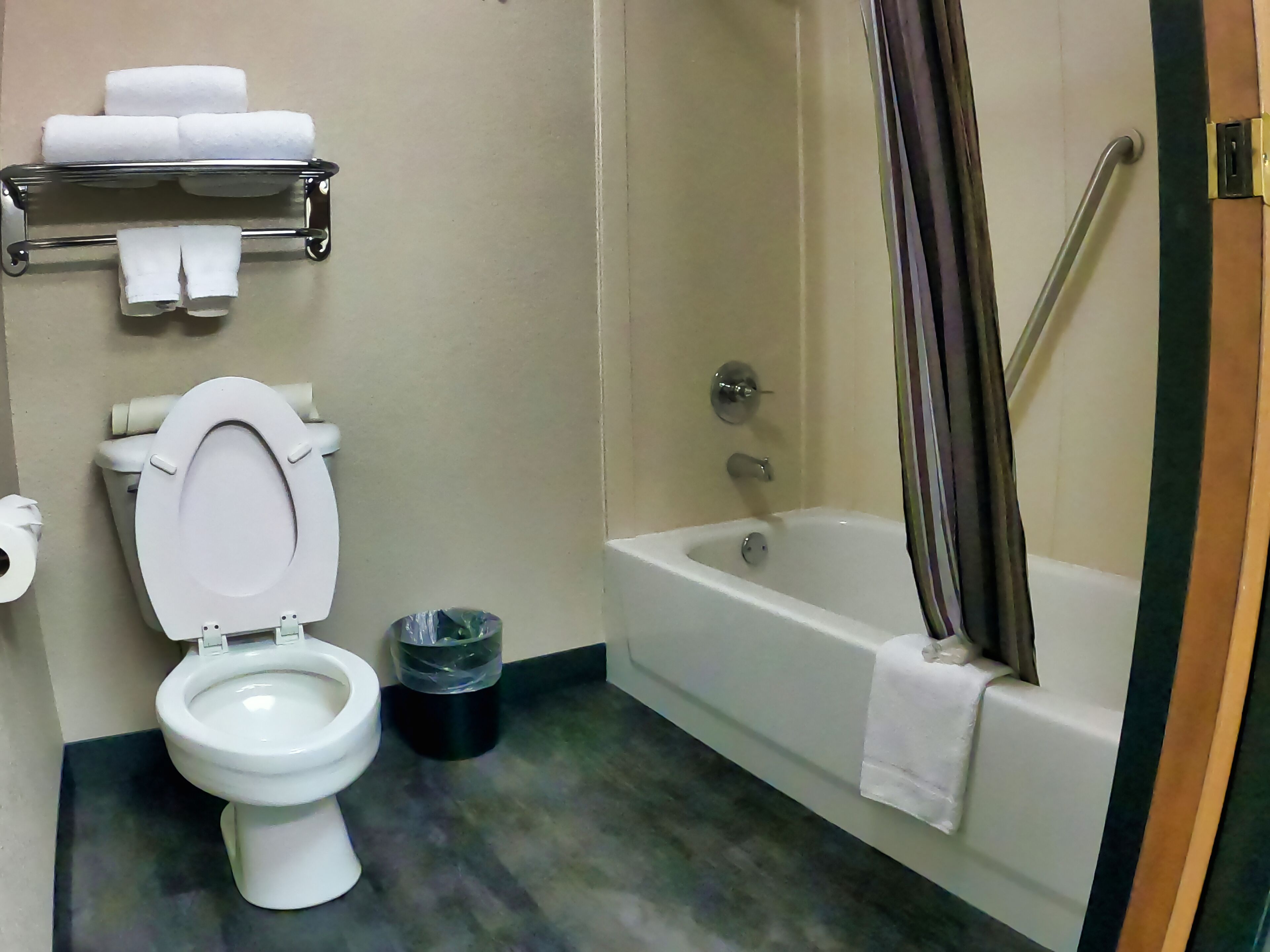 combined shower/bathtub, free toiletries, hair dryer, towels