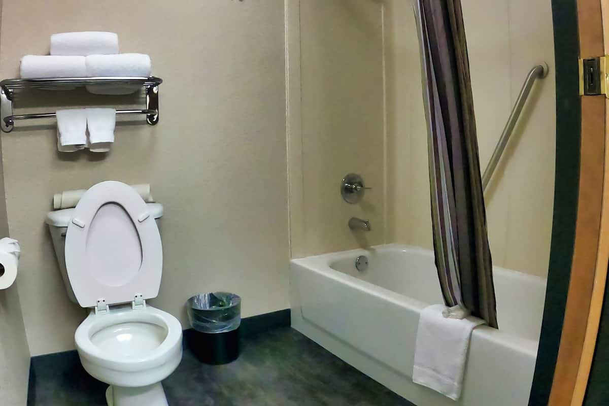 Bathroom | Combined shower/tub, free toiletries, hair dryer, towels