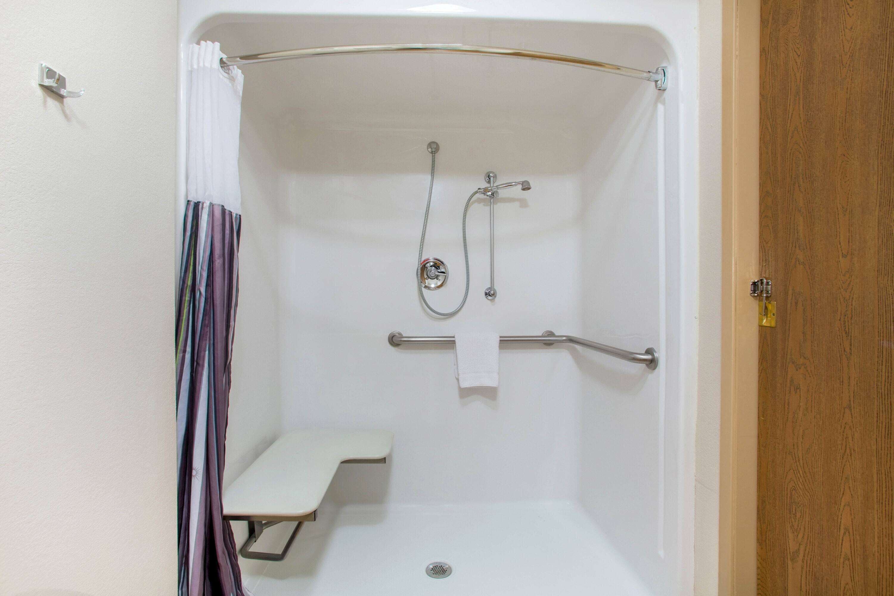 room, 1 queen bed, accessible, non smoking (mobility accessible) | accessible bathroom