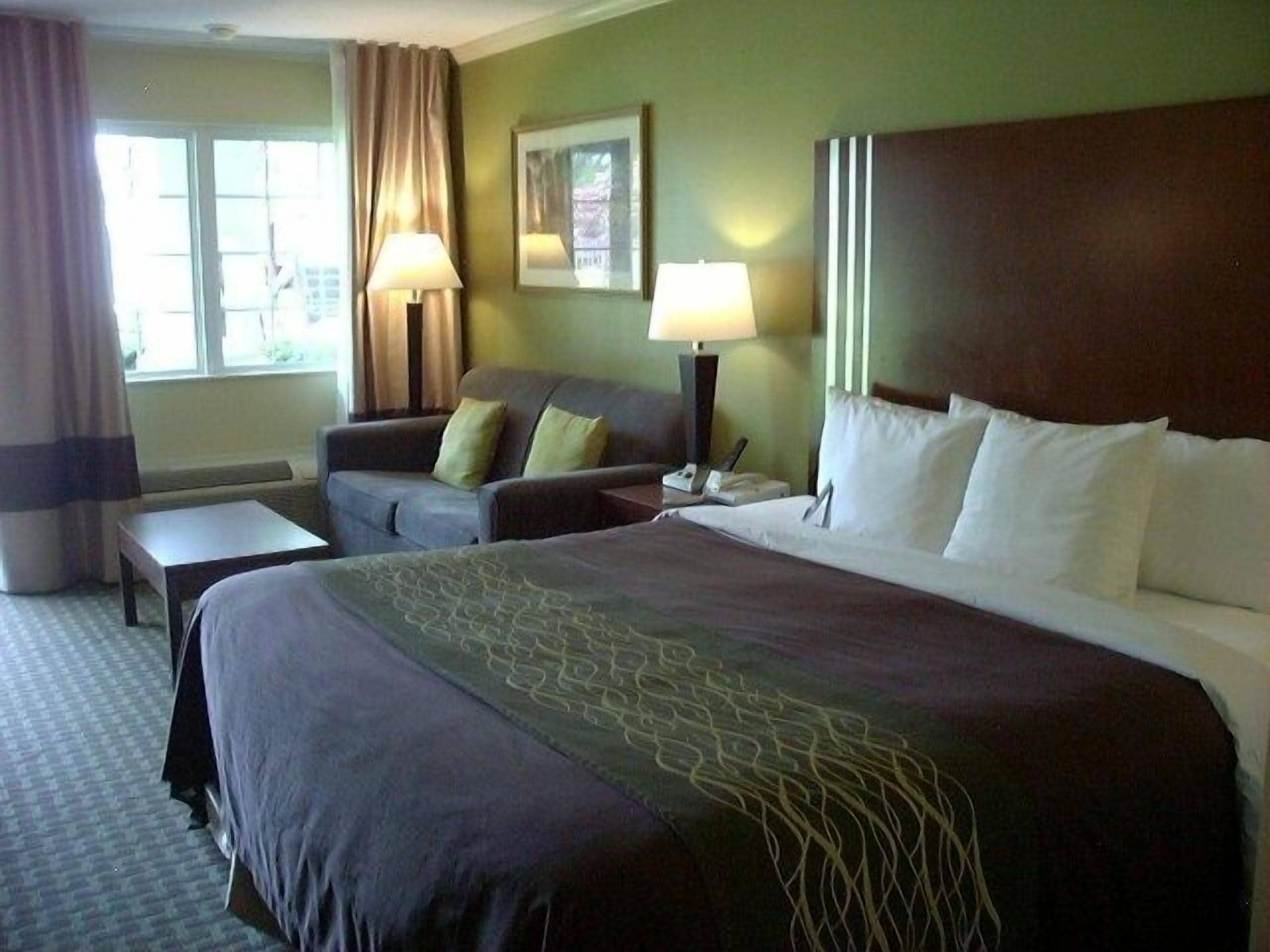 A hotel room with a large bed, a sofa, a desk, and a window with curtains.