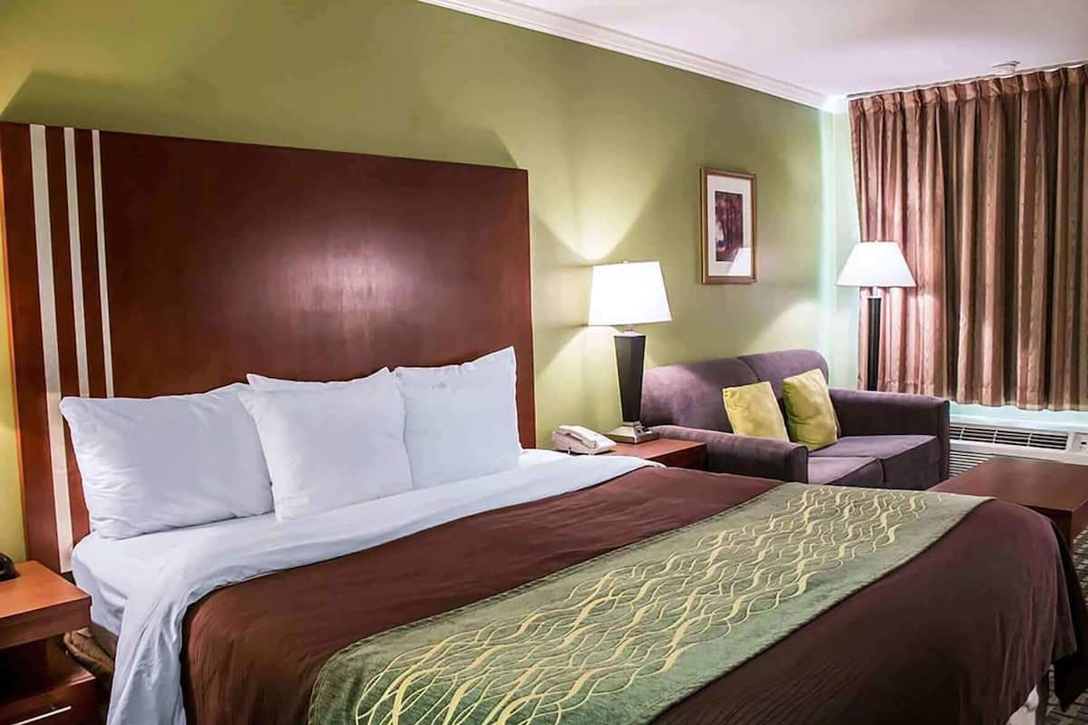 Premium bedding, desk, iron/ironing board, free cribs/infant beds