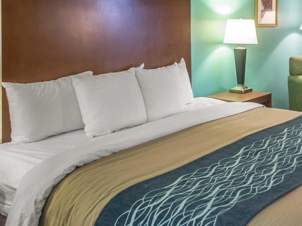 Premium bedding, desk, iron/ironing board, free cribs/infant beds