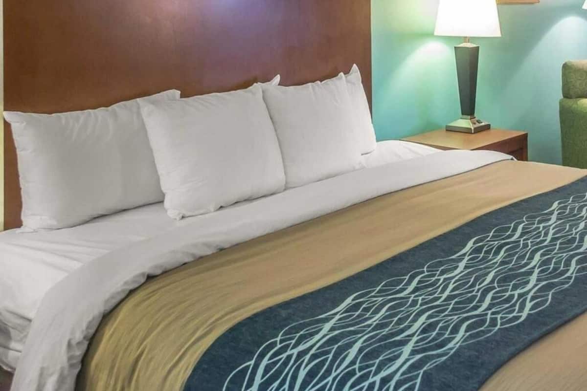 Premium bedding, desk, iron/ironing board, free cribs/infant beds