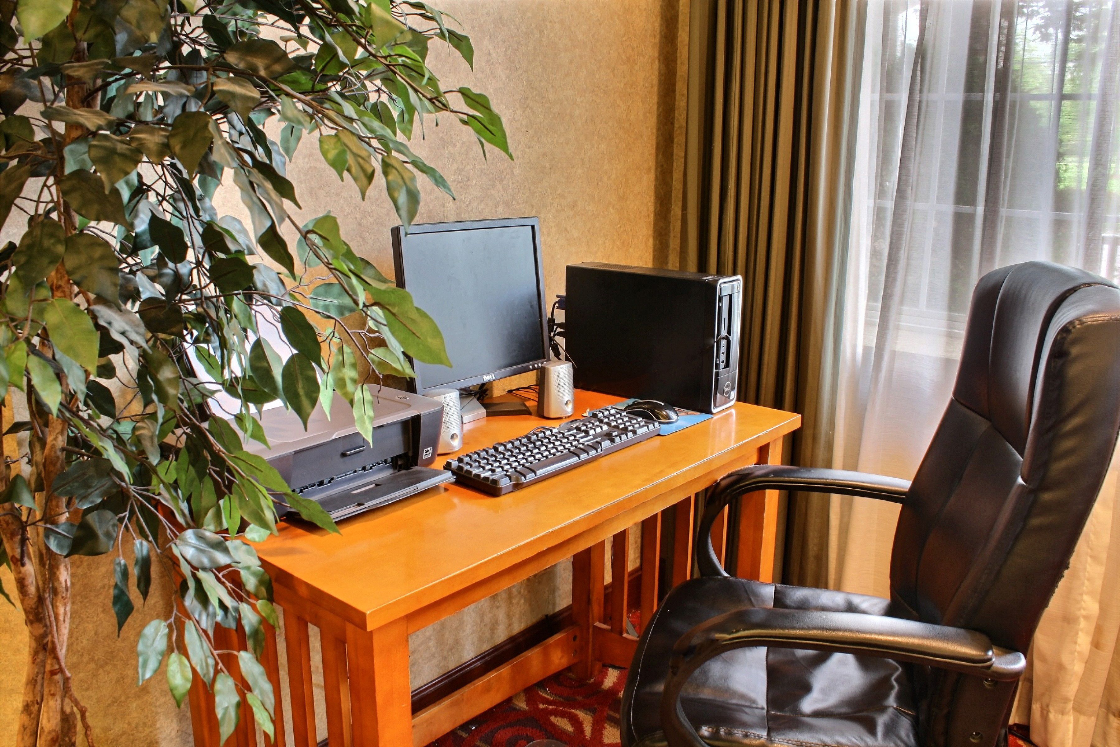 Un escritorio de madera con una computadora, que incluye un monitor, teclado y ratón. Hay una silla de cuero negro y una planta en maceta.