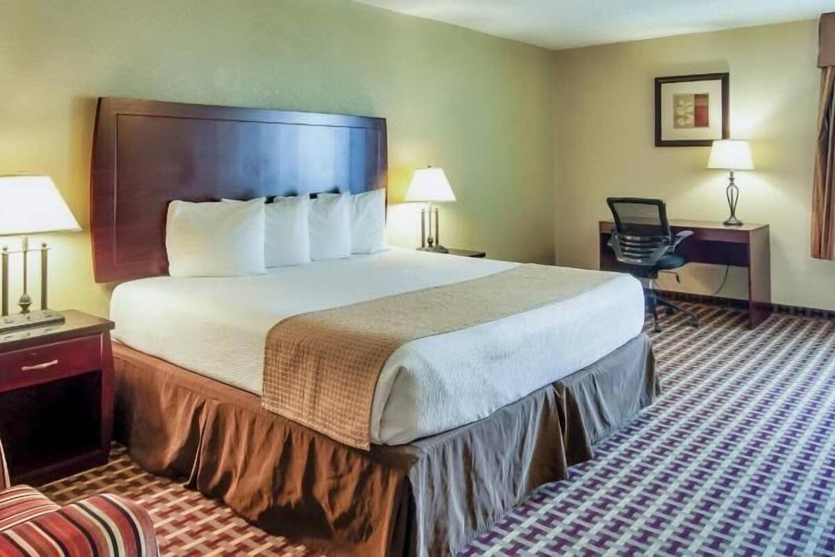 Habitación de hotel con una cama grande, dos mesitas de noche con lámparas, un escritorio con silla y una alfombra estampada.