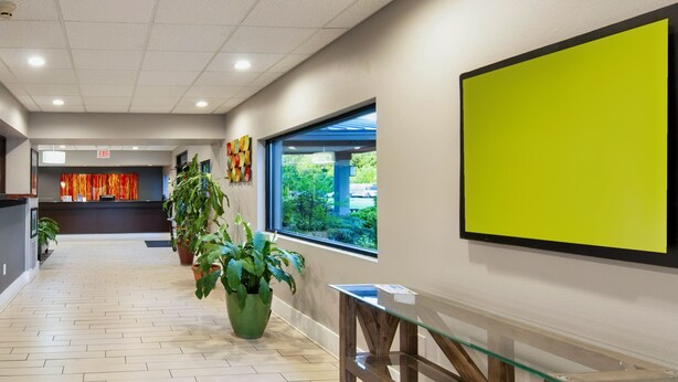 Un pasillo con mostrador de recepción, plantas en macetas, un ventanal grande y una pantalla verde brillante.