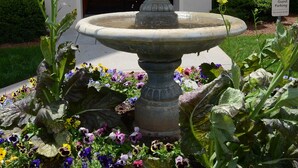 Une fontaine en pierre où l’eau jaillit, entourée d’une grande variété de fleurs et de plantes.
