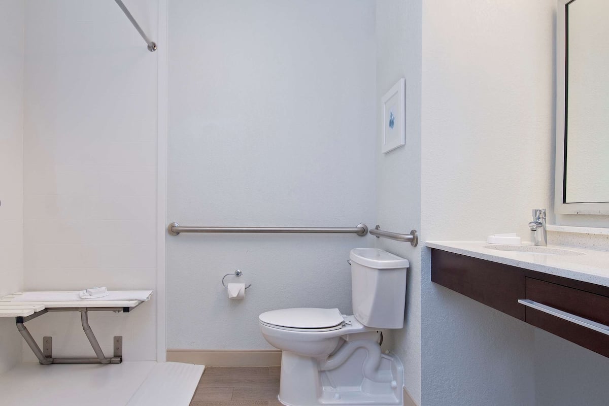 room, 1 king bed, accessible, non smoking (roll-in shower) | bathroom | free toiletries, hair dryer, towels