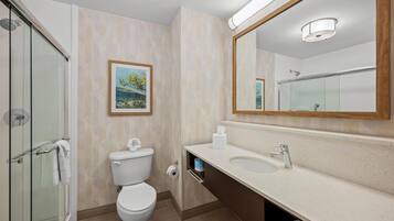 A modern bathroom with a glass shower enclosure, a toilet, a sink, and a large mirror.