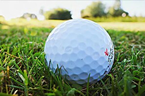 Golf - Hampton Inn - Naples - I-75 (Naples)